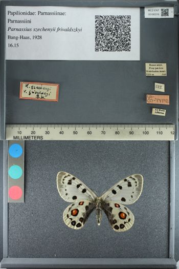 Media type: image;   Entomology 180316